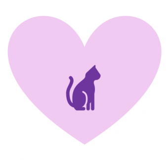 Bildschirmfoto-2020-10-18-um-16.02.00.png
